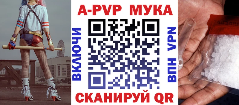 A PVP СК  это какой сайт  Власиха  omg  