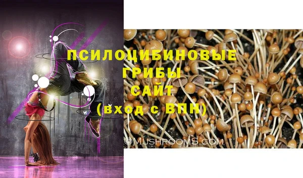 mix Медвежьегорск