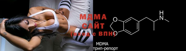прущие грибы Медногорск